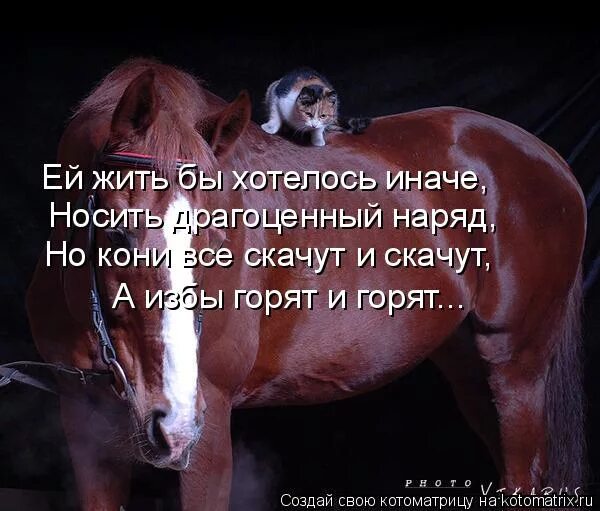 стих а кони все скачут и скачут а избы горят и горят. а всё могло быть по другому. горящую избу продаст. женщина и лошадь афоризм. лидия заозерская стихи в картинках.