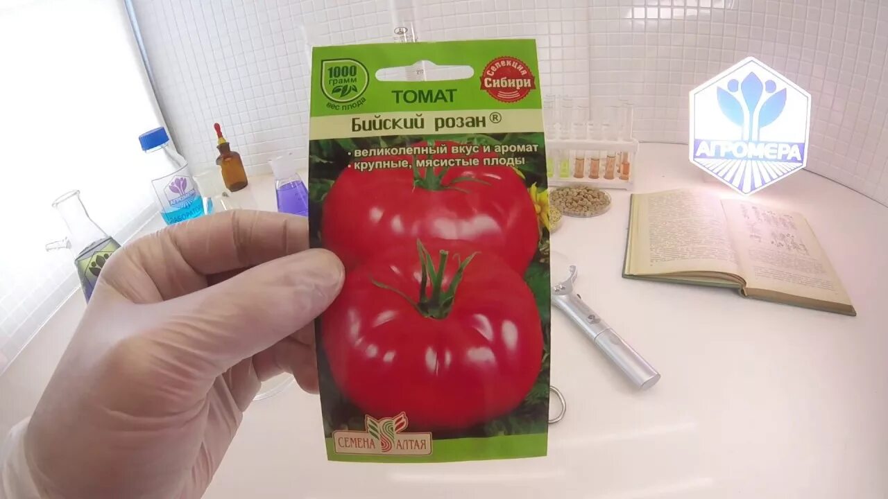 Томат бочата характеристика и описание. Семена томат сладкий фонтан f1. Томат бочата характеристика и описание. Томат бочата характеристика и описание. Томат пень f1 5шт.