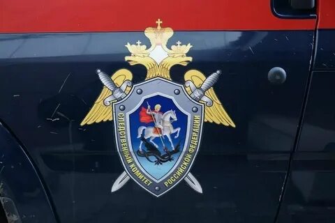 Следственный комитет 2011