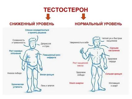 Гормоны для мужчин