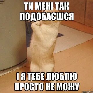 Не пойму вас