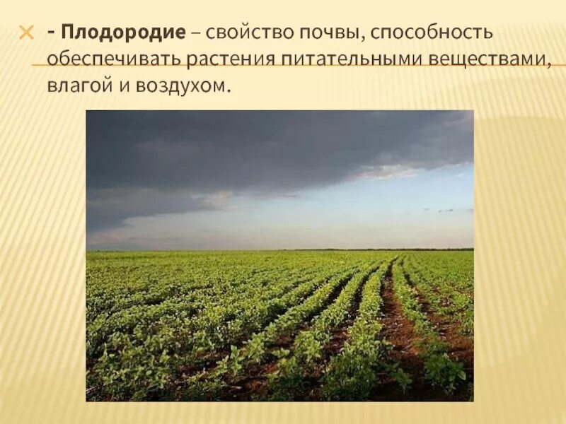 Плодородие почвы. Естественное плодородие почвы. Плодородие почвы это способность обеспечивать растения. Характеристики плодородия почвы. Плодородие это свойство почвы которое