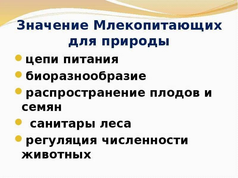 Значение млекопитающих кратко