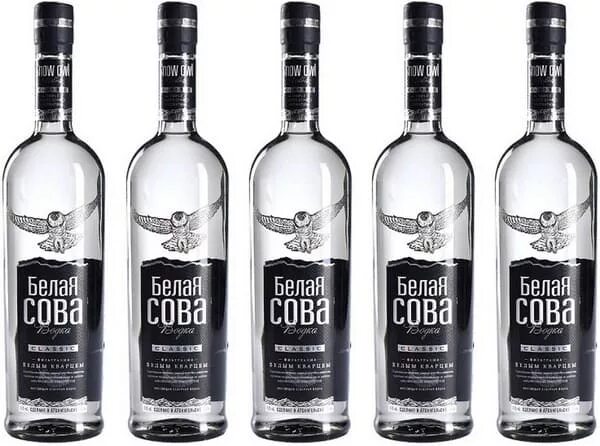 Памятник белой сове. Белая сова производитель. 5 л. Белая сова оперение. Совы полярные.