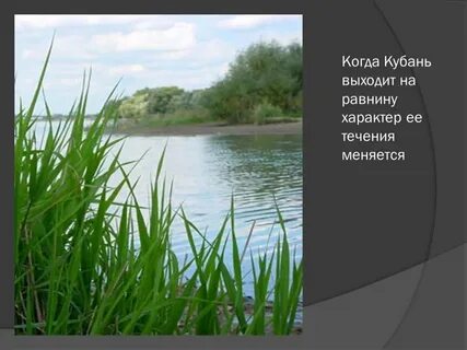 Течение кубани