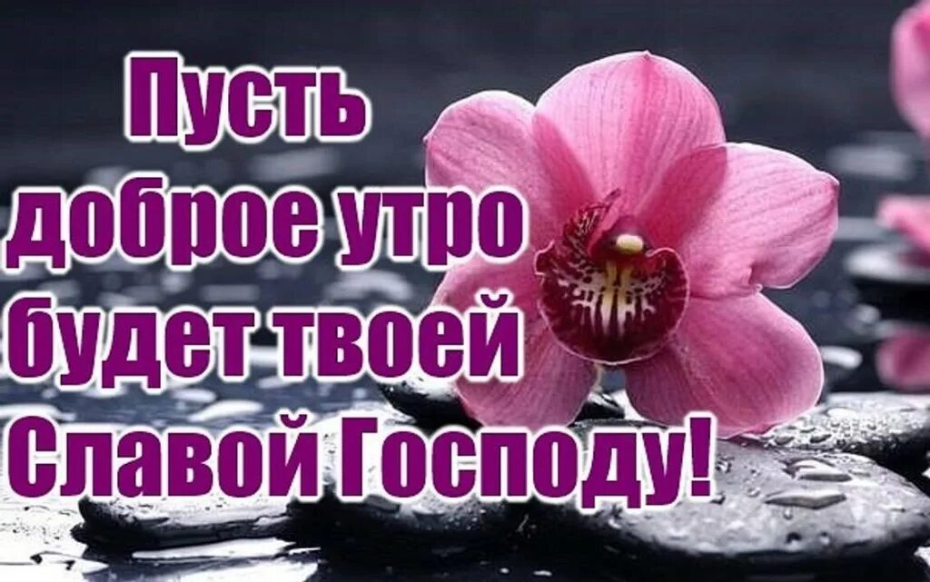 Благословен пусть будет день. Доброе утро с господом. с добрым утром благослови господь. доброе утро благословений от господа. с добрым утром благослови вас господь.