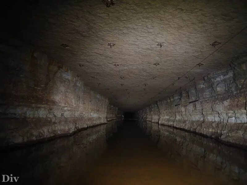 п сланцевый рудник. сланцевый рудник ульяновская шахта. саратовская область посёлок сланцевый рудник. п сланцевый рудник. сланцевый родник ульяновск.