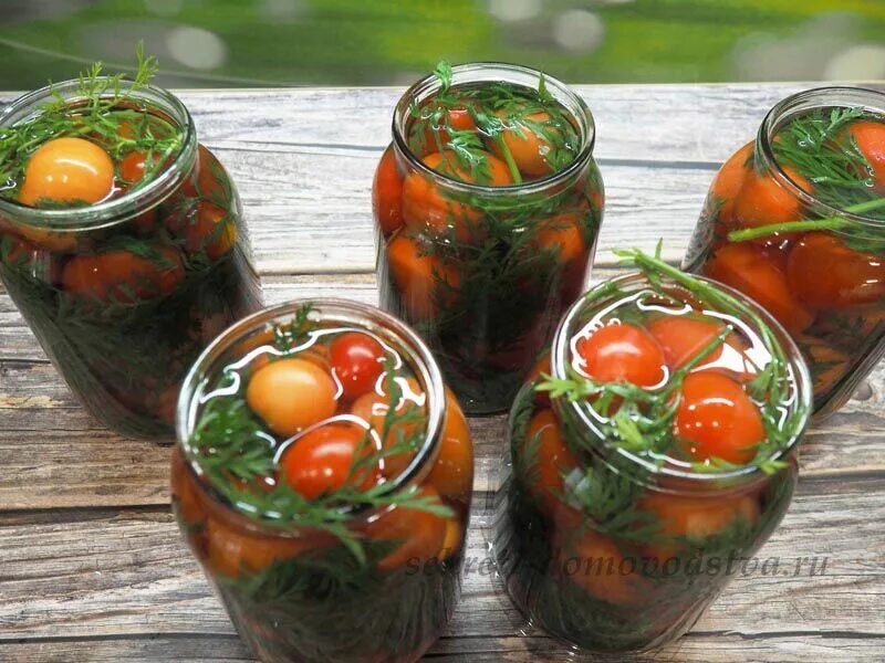 Морковная ботва на зиму. Морковная ботва на зиму. Соленые помидоры с морковной ботвой. Помидоры с ботвой моркови на зиму. Помидоры с морковной ботвой на 1 литровую банку.