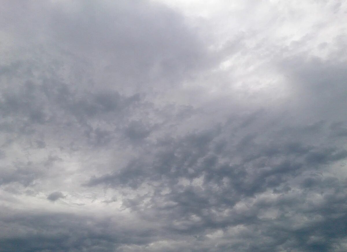 Cloudy ai