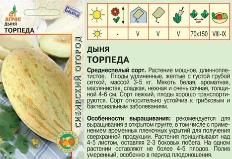 Дыня торпеда описание