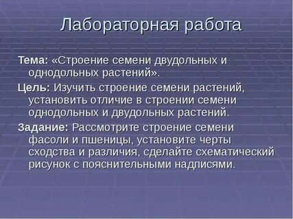 Сходства и различия в строении семян