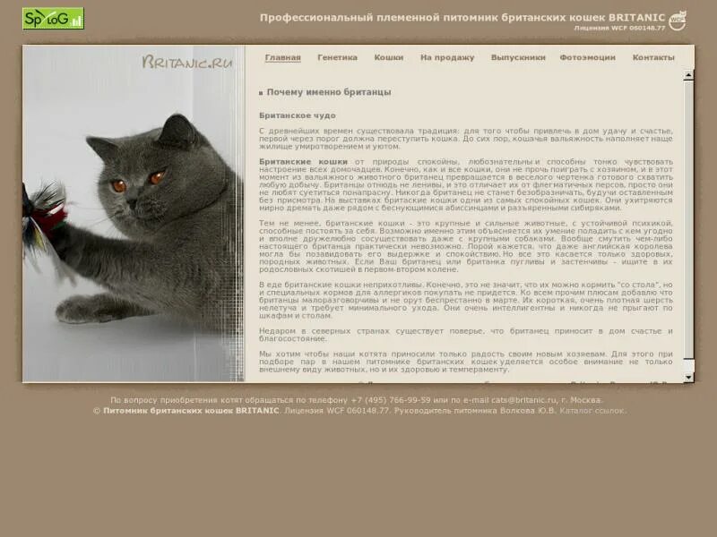 Перс сведения штраф. Сведения о британской кошке. дополнительная информация о британской кошке. атлас определитель породы кошек. короткая информация о британской кошке.