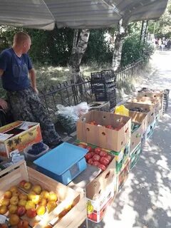 Коммерция ставрополь