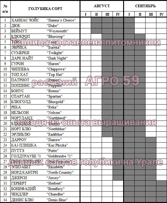Голубика река описание сорта опылители отзывы. Таблица цветения голубики. Голубика таблица сортов. Таблица сортов созревания голубики. Таблица морозостойкости сортов голубики.