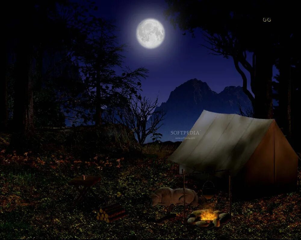 Ночь через три. Палатка в лесу ночью. Ночная Поляна в лесу. Палатка в ночном лесу. «Ночь в лесу».