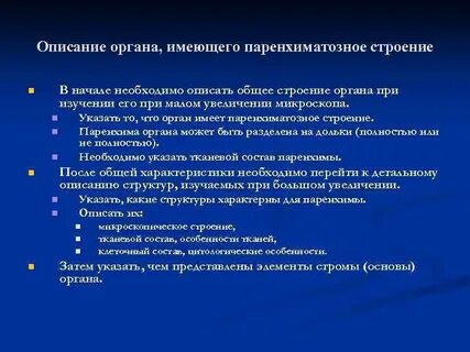 Характеристики паренхиматозного органа