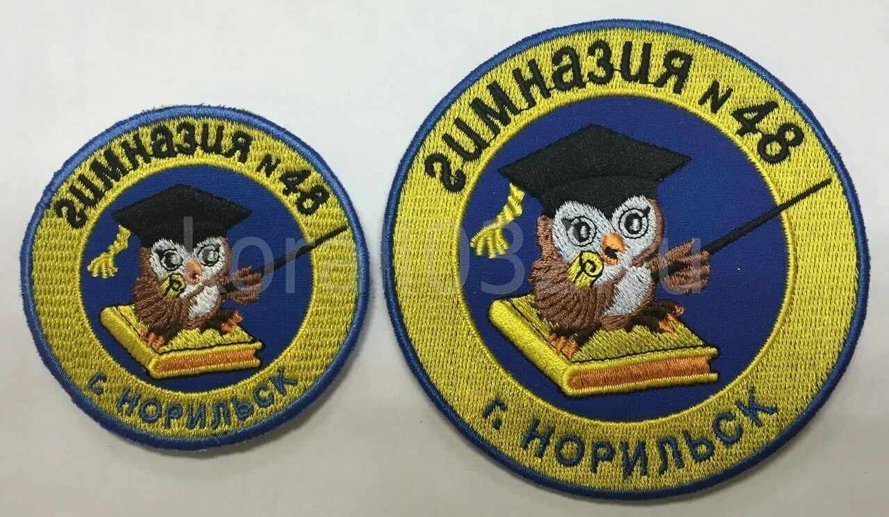 Шеврон лицей 9 слб. Шевроны лицея. Шевроны лицея. Шеврон главное оперативное управление. Шеврон для школы.