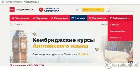 Синергия оплата обучения