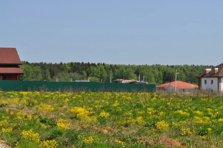 Поселок бортнево пушкинский район. Участки в пушкинском районе московской. Земля и участок в пушкино московской области. Цернское 2 коттеджный поселок. Лесной поселок пушкинский район рассвет.