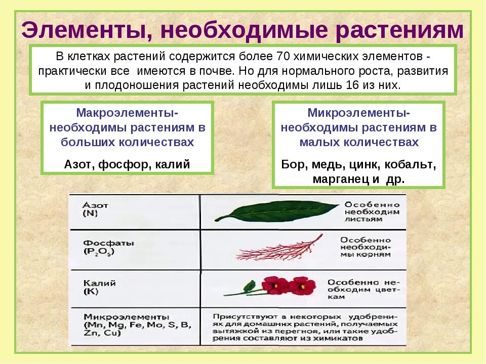 Соединение минеральных удобрений. Микроэлементы необходимые для растений. Макроэлементы для растений. Элементы необходимые растениям. Роль химических элементов в жизни растений.