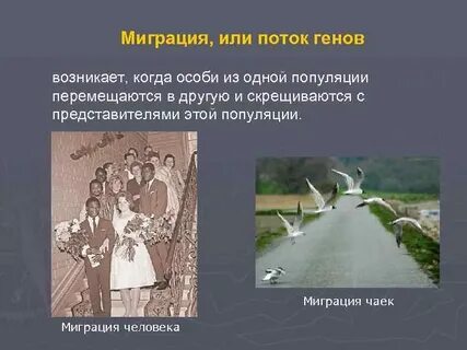 Миграция генов
