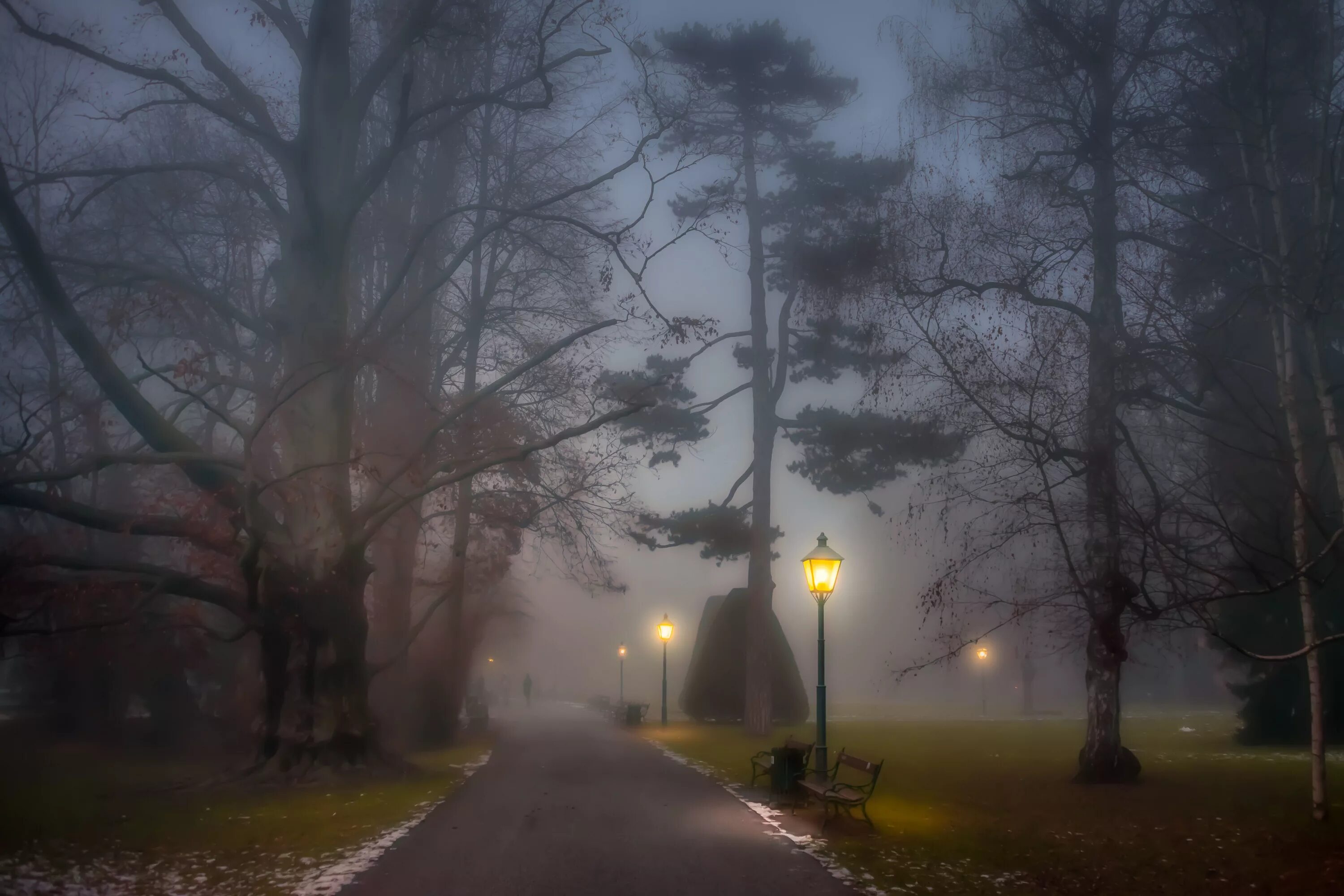 В темное время суток и в пасмурную. Город в тумане. Фонарь в тумане. Туман в парке. Осенний туман в городе.