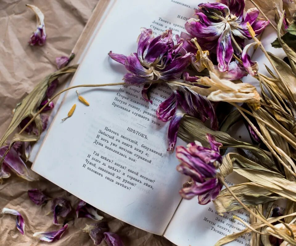 Стихи о старых книгах. Книга цветы. Стих цветы книги. Стих цветы книги. Стих цветы книги.
