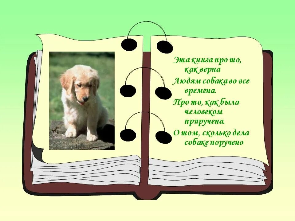 Люблю животных стих. Стихотворение про собаку. Стишки про собак. Стих про собаку для детей. Стихи о собаках для де ей.