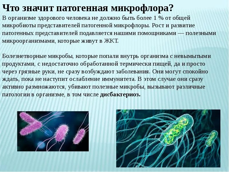 Микрофлора обнаружена что это значит. Остегенная микрофлора. Патогенная микрофлора человека.