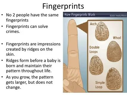 Fingerprint identification