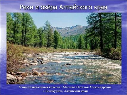 Алтайский заповедник доклад 2 класс
