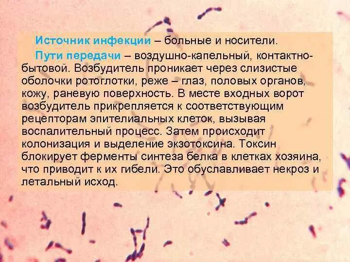 Контактно бытовым путем передаются заболевания. Что передается контактно бытовым путем. контактно-бытовым путем передаются человеку яйца. контактно-бытовым путем передаются человеку яйца каких паразитов. виды возбудителя контактно-бытовые.