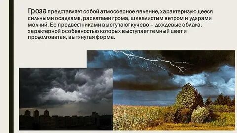 Задолго до начала грозы наступила