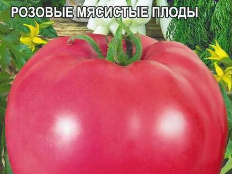 Томаты королевич отзывы фото. Томат королевич семена алтая. алтайские семена томат королевич. томат королевич 0,05г семена алтая. сорт томата королевич.