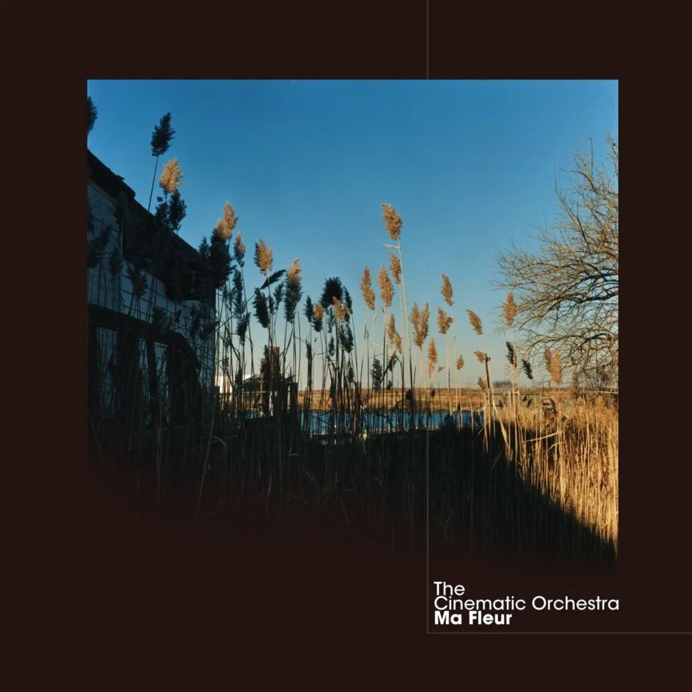 Cinematic Orchestra "ma fleur". The Cinematic Orchestra. Группа the Cinematic Orchestra. Cinematic Orchestra винил. Home orchestra