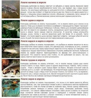 Во время нереста рыб запрещено ловить