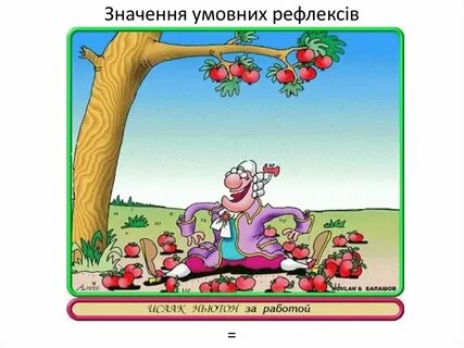 Закон ньютона прикол