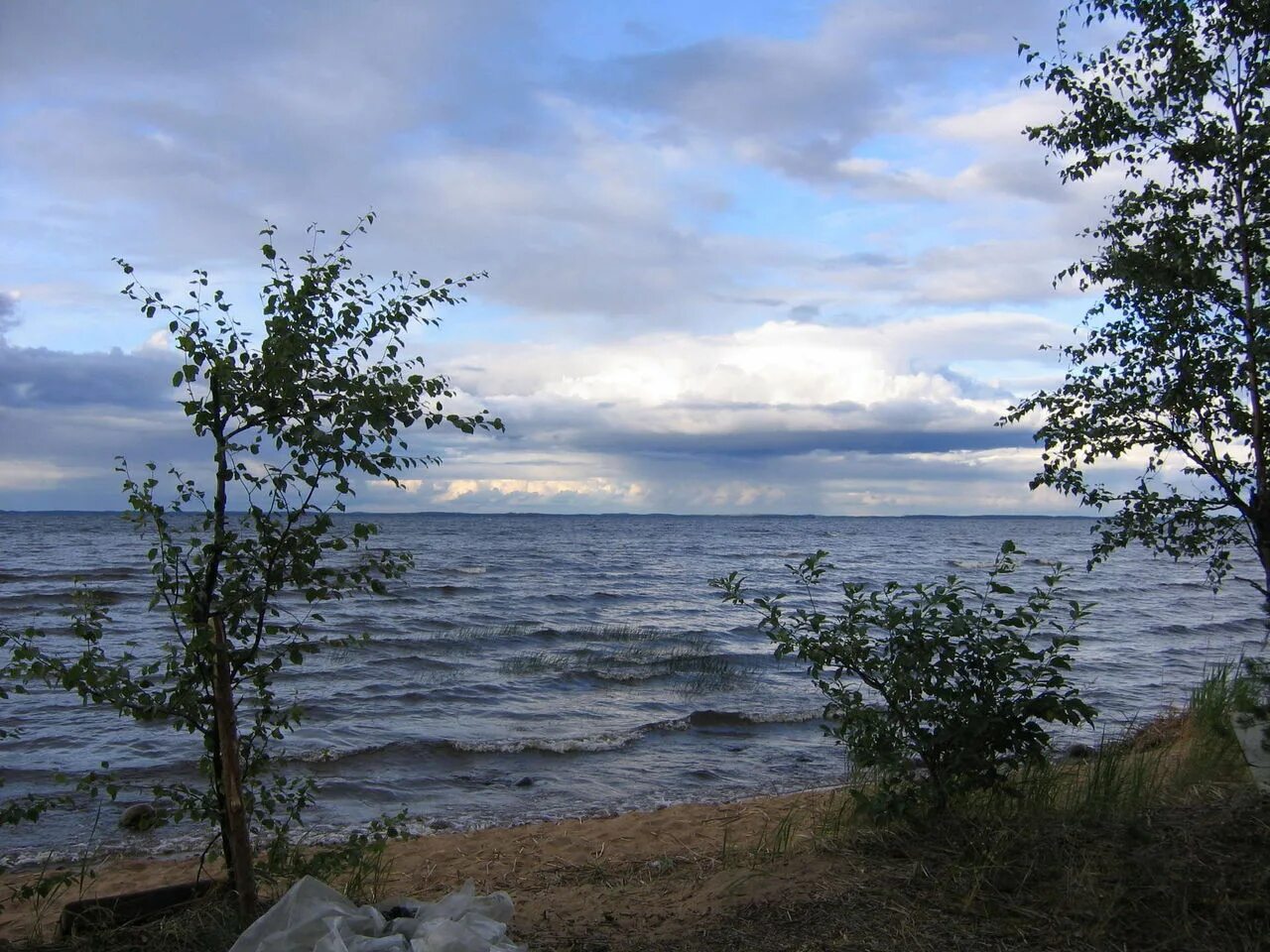Эссойла карелия. Эссойла карелия