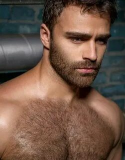 Hot Men, Hot Guys, Bear Men, Handsome Faces, Hairy Chest, Male Chest, Hair ...