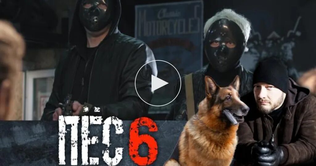 Пес 6 реклама. Пес 6. Пес 6 реклама. Пес 6 реклама. Пес 6 реклама.