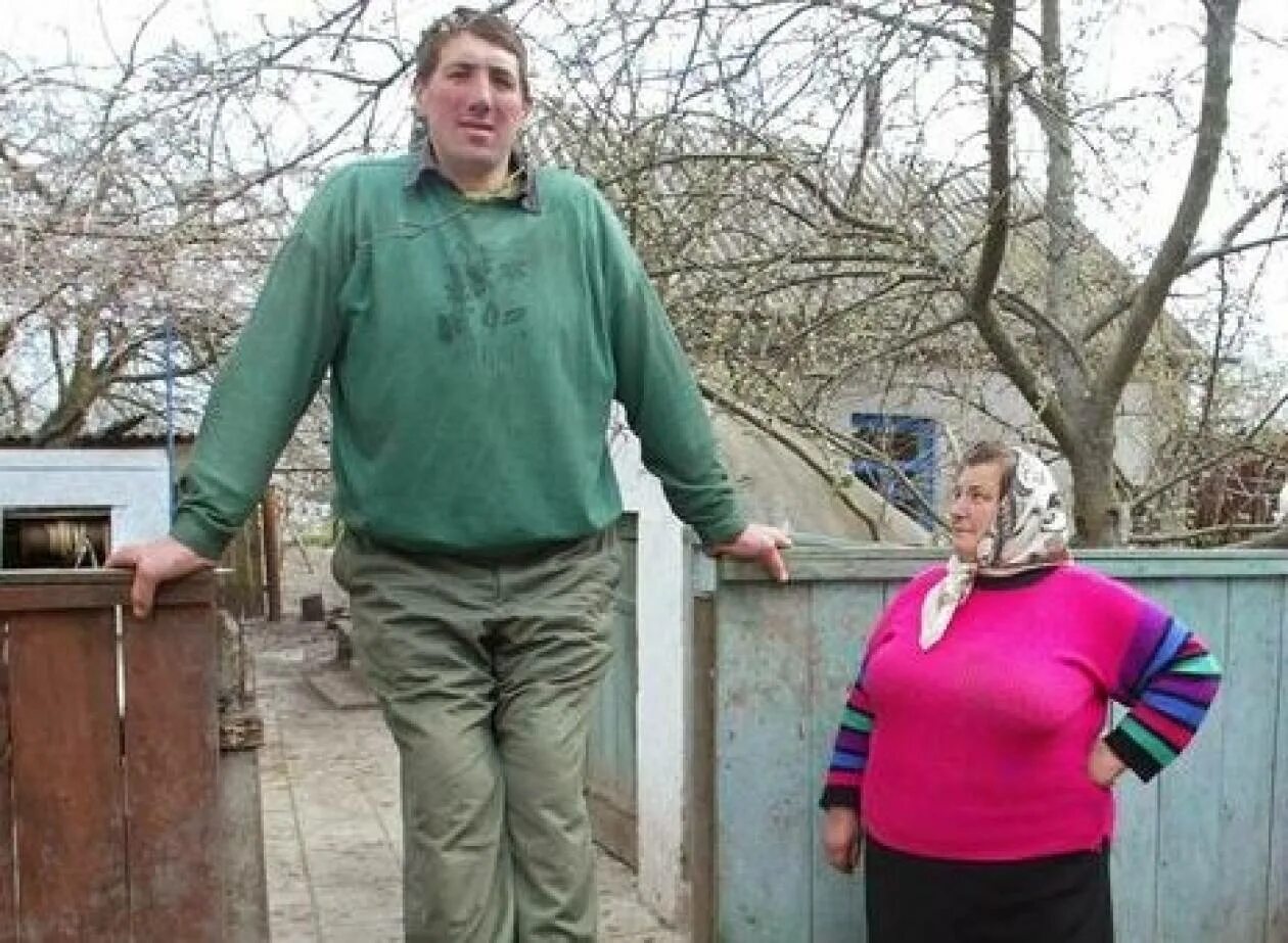 Самый крупный человек в россии. Стадник гигант. Самый большой человек. Высокий человек. Самый большой человек в мире.