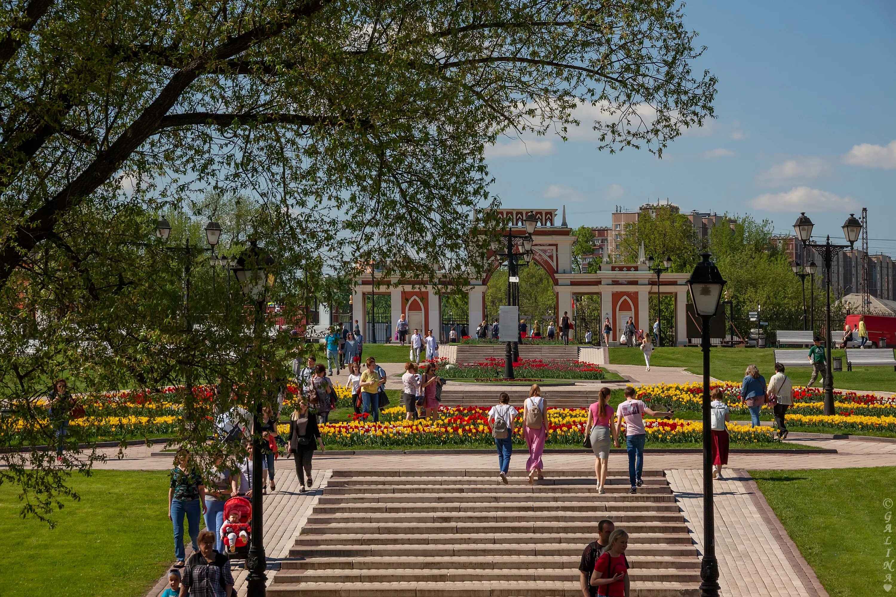Царицыно омской области. Парк Царицыно цветники. Парк Царицыно в Москве весной. Царицыно парк растения.