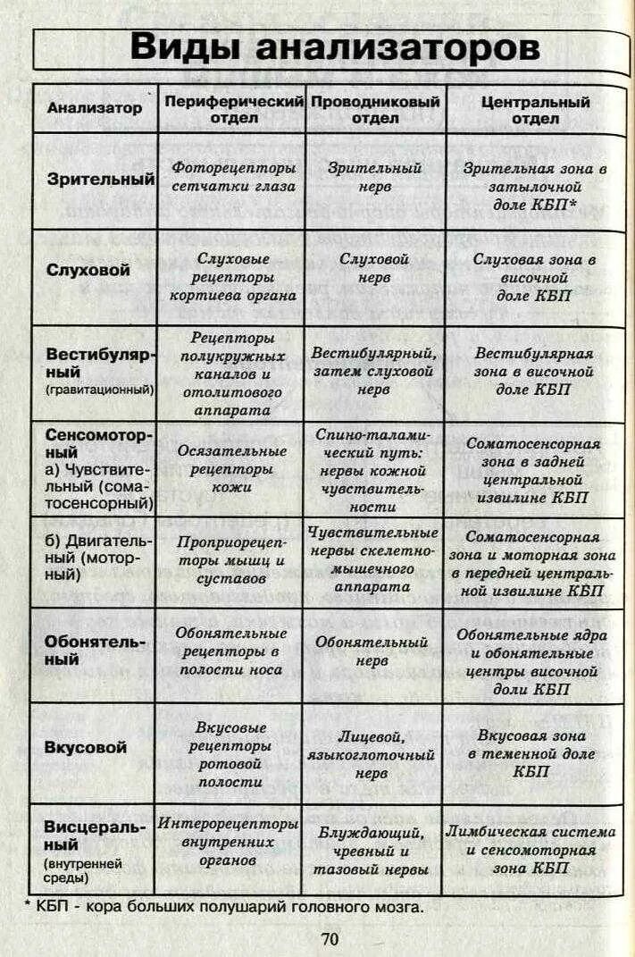 Назовите органы чувств почему павлов рецепторы органов. Строение и функции анализаторов таблица. Отделы анализатора таблица. Таблица строение зрительного анализатора по биологии 8. Таблица по биологии 8 класс название анализатора.