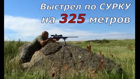 Падение сурка