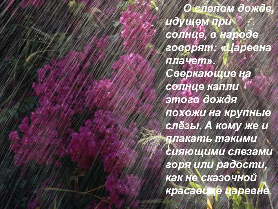 Рассказ о слепом Дожде. Описание дождя. Стихотворение про слепой дождь. Произведения про слепой дождь. Текст про слепого