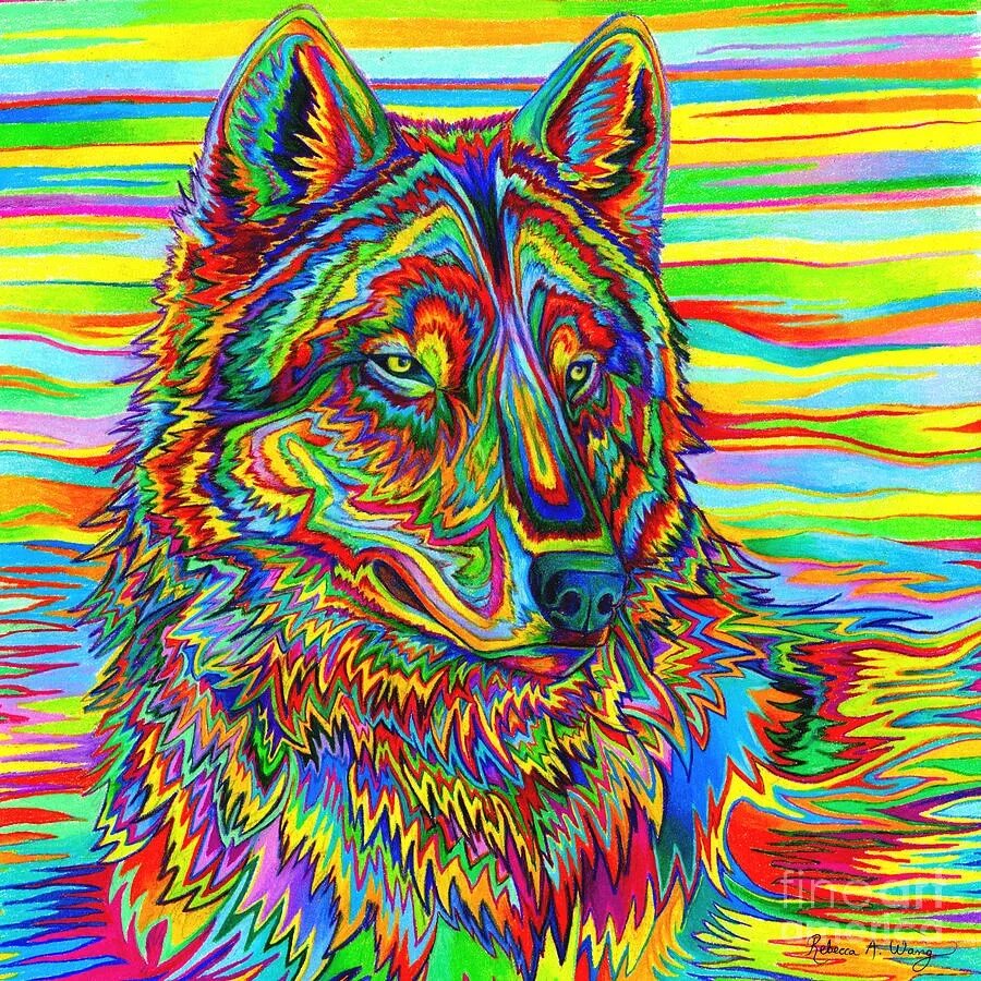 Рисунки разноцветные. Яркие рисунки. Разноцветный волк. Радужные волки.
