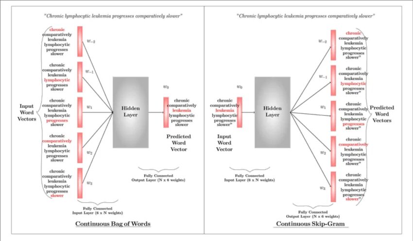 Model words. Bio notation named entity recognition.