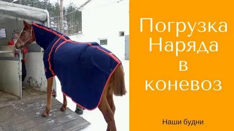 Веконь