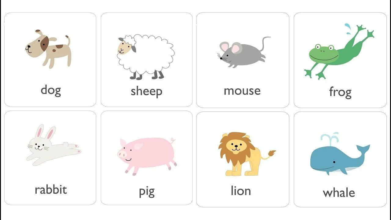 Учить названия животных. Животные на английском языке. Животнее на английском языке. Животные на английском языке для детей. Карточки животные на английском.