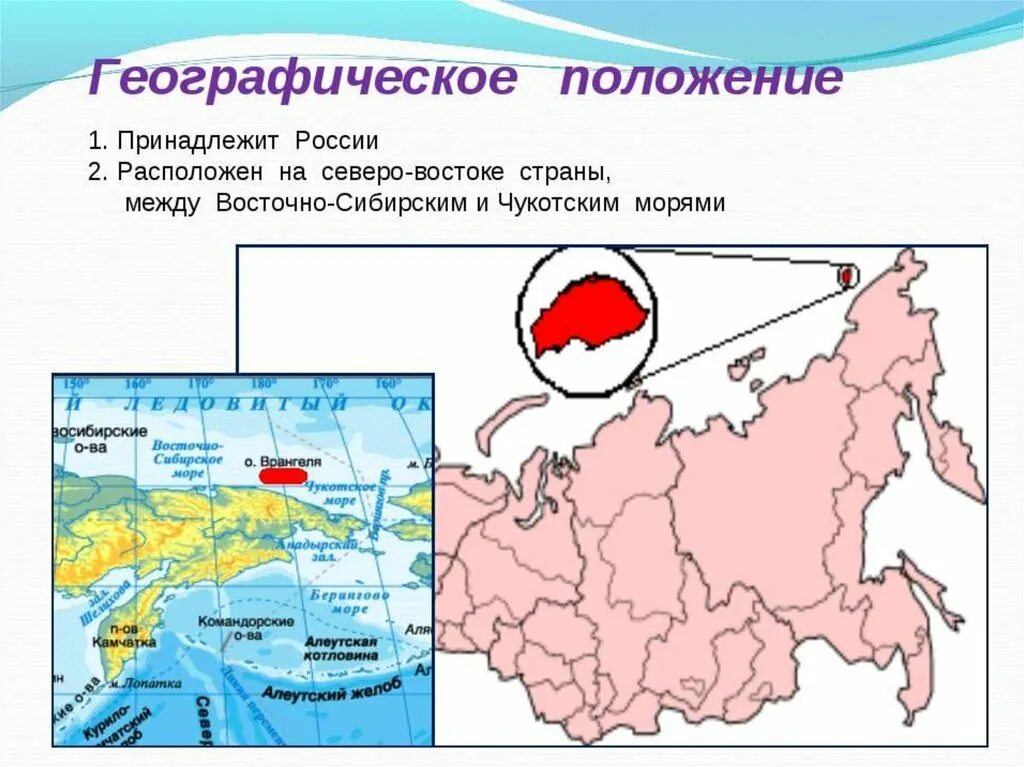 Остров Врангеля расположение на карте. Остров Врангеля заповедник географическое положение. Местонахождение острова Врангеля на карте. Восточно сибирский остров на карте